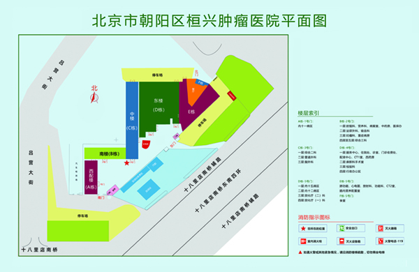 大鸡吧操逼免费视频北京市朝阳区桓兴肿瘤医院平面图